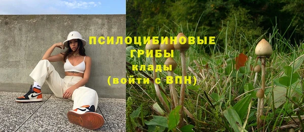 прущая мука Зеленодольск