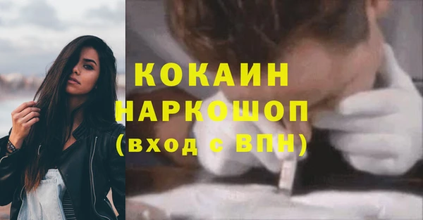 сатива Зерноград