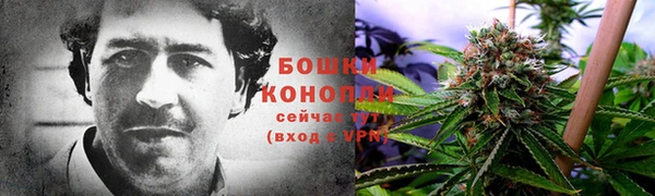 сатива Зерноград